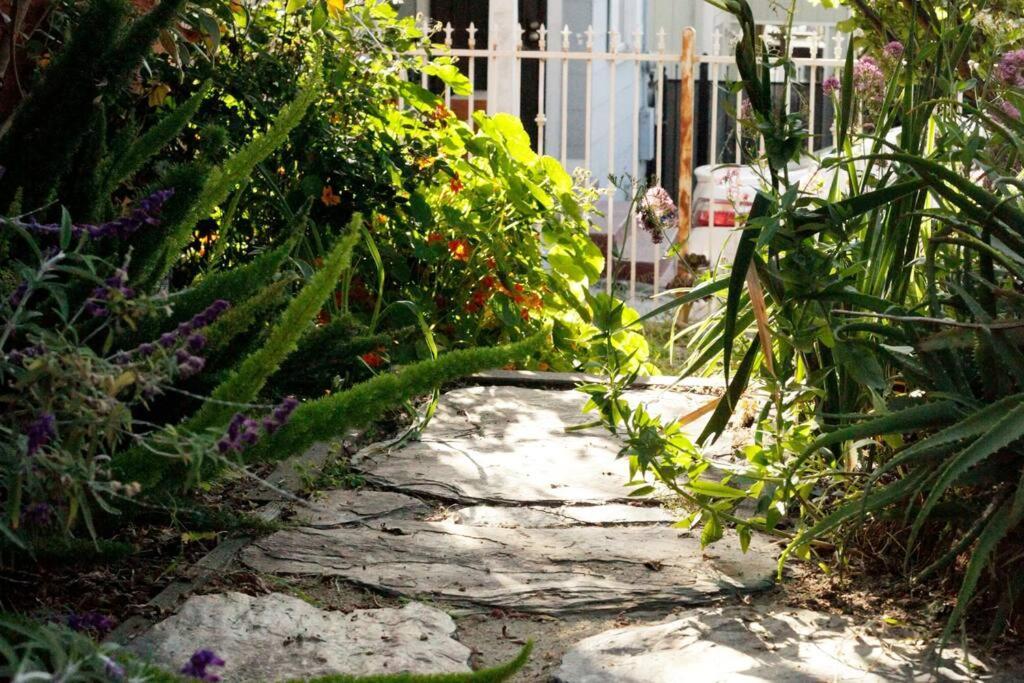 Beautiful, Historic Family Home Near Lake Merritt Ώκλαντ Εξωτερικό φωτογραφία