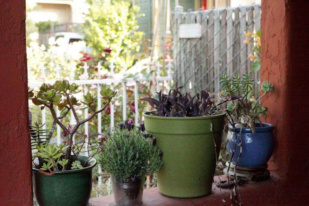 Beautiful, Historic Family Home Near Lake Merritt Ώκλαντ Εξωτερικό φωτογραφία